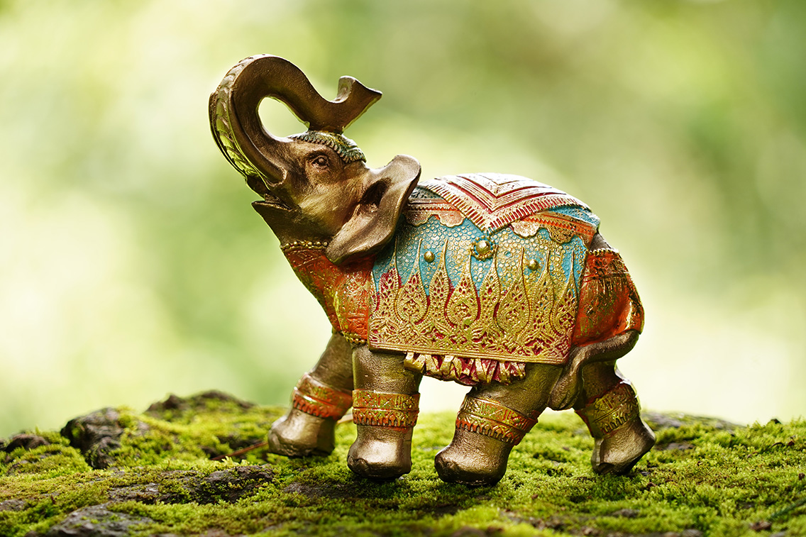 Fotografía Artística y Creativa